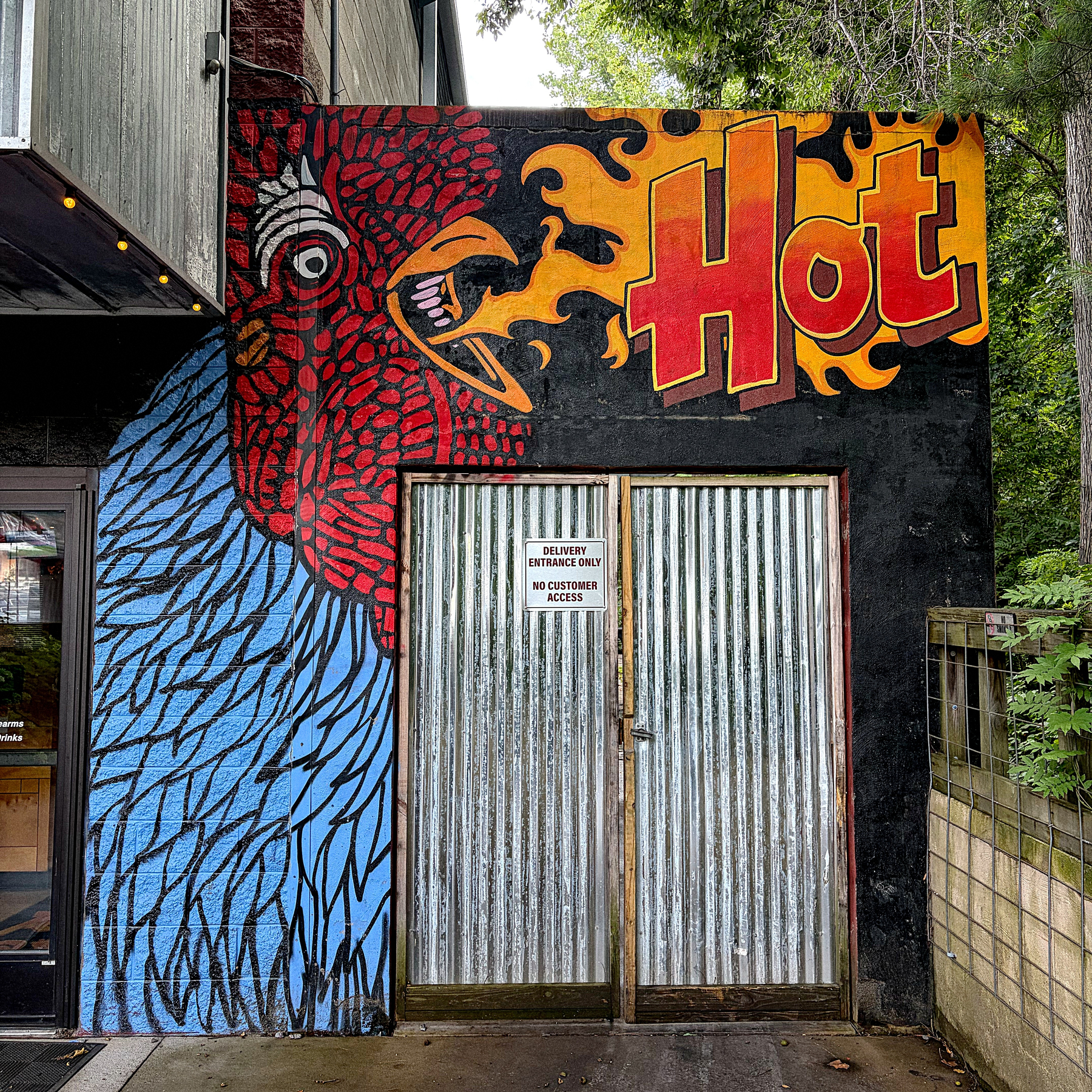 A colorful mural of a fiery red and blue rooster breathing fire with the word Hot above a metal entrance door is painted on the side of a building.